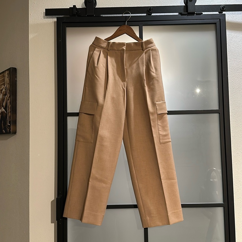 Aritzia Babaton Spotlight Cargo Pant
